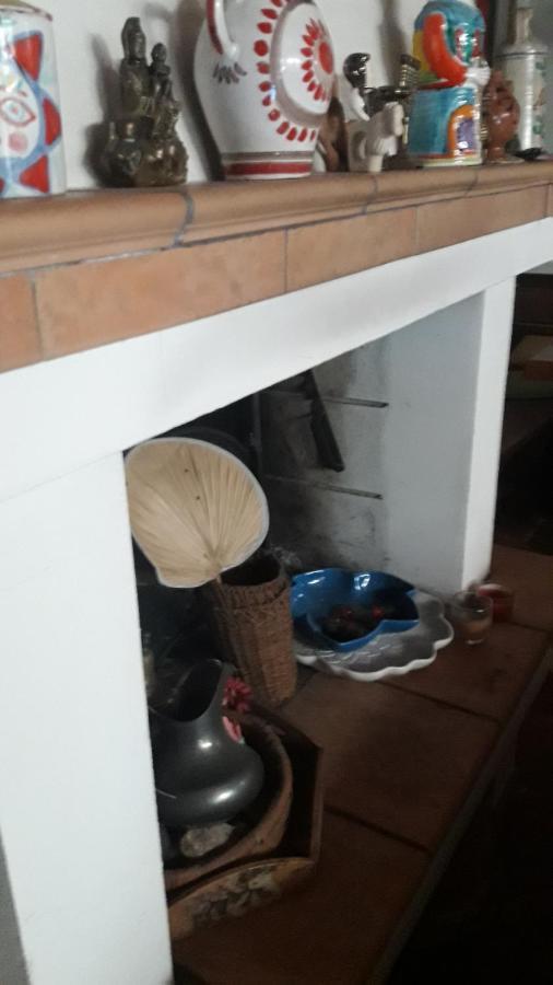 Room Garden Πάδοβα Εξωτερικό φωτογραφία